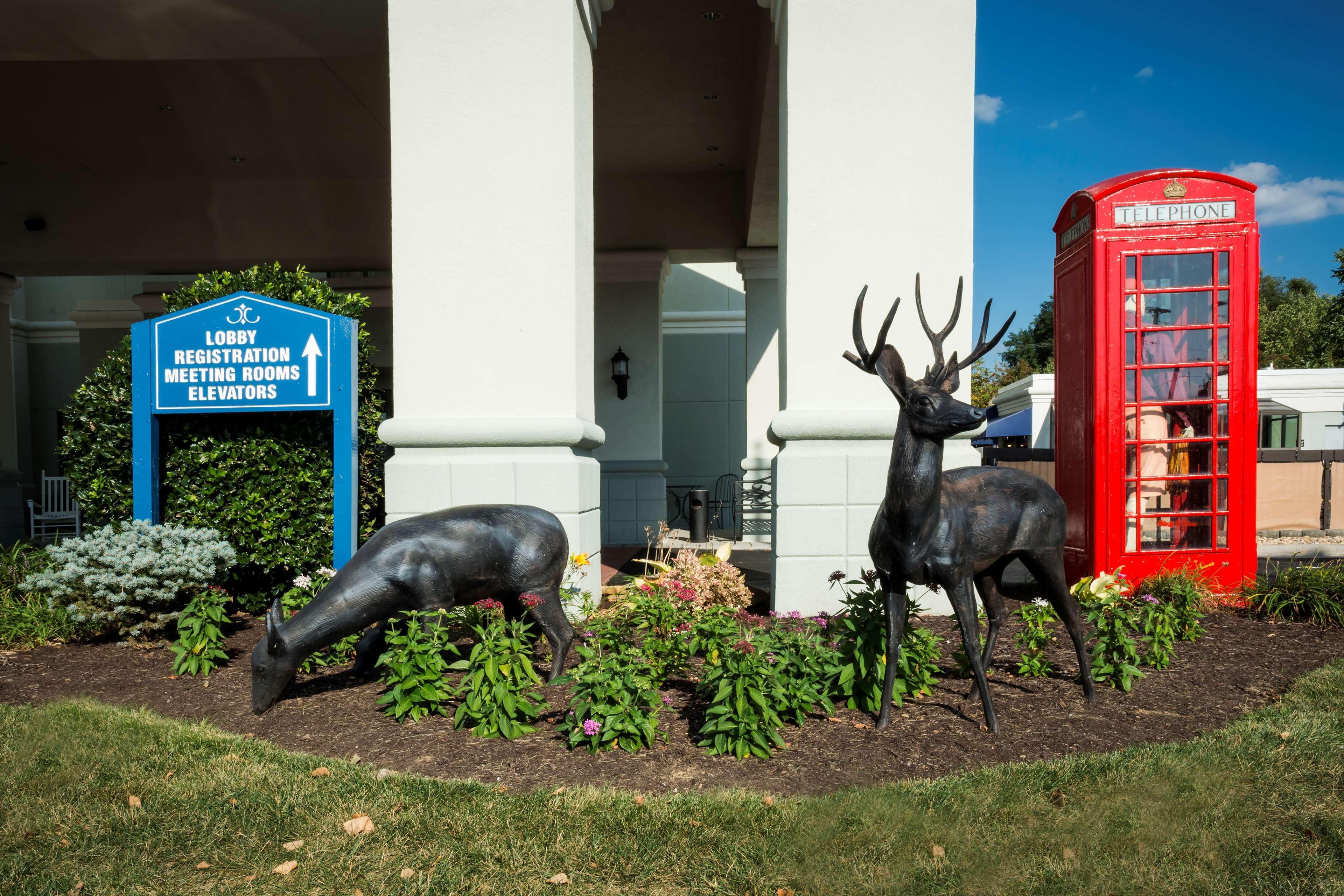Hampton Christiansburg/blacksburg Hotel 3*