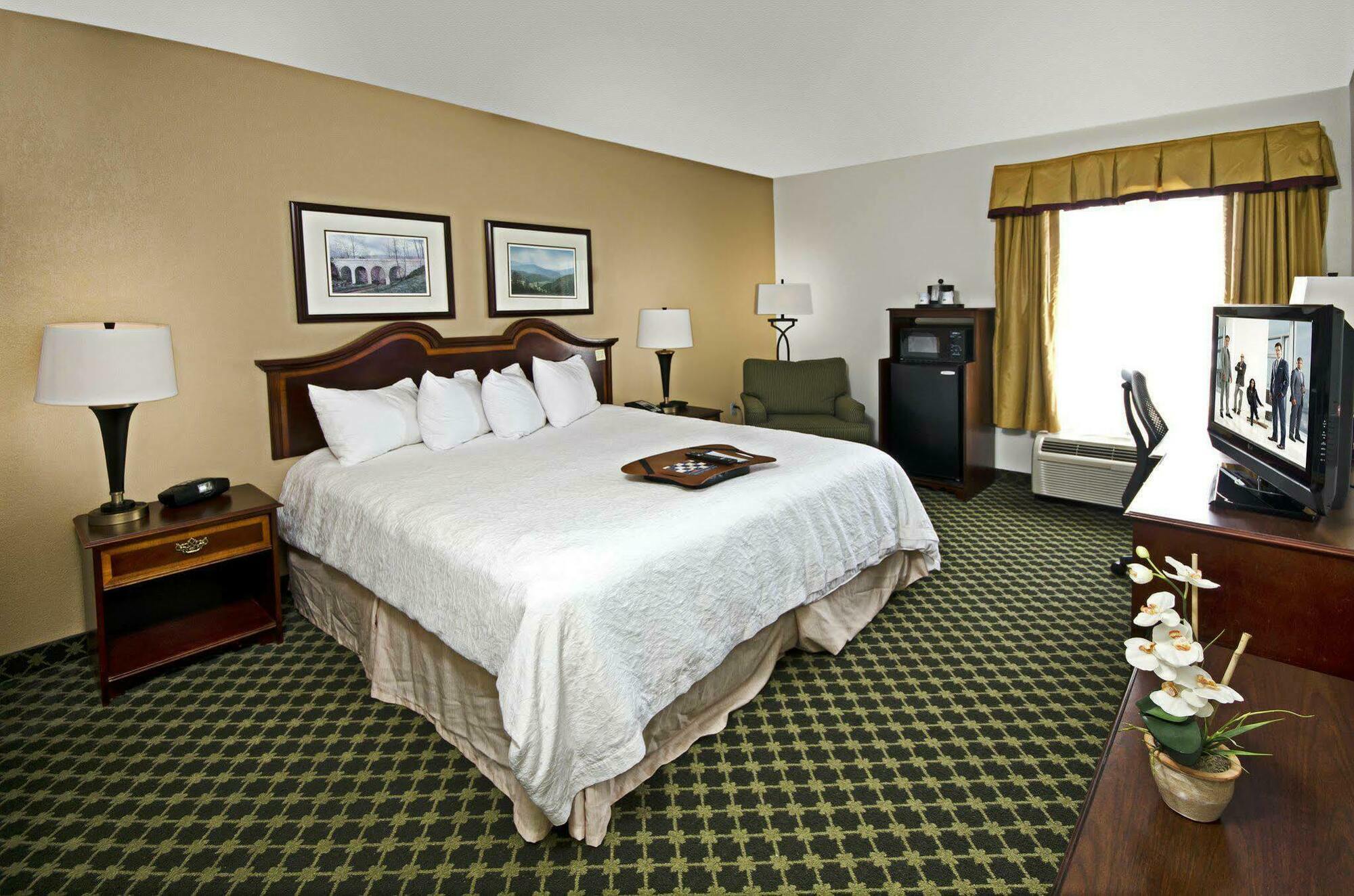 Hampton Christiansburg/blacksburg Hotel Christiansburg