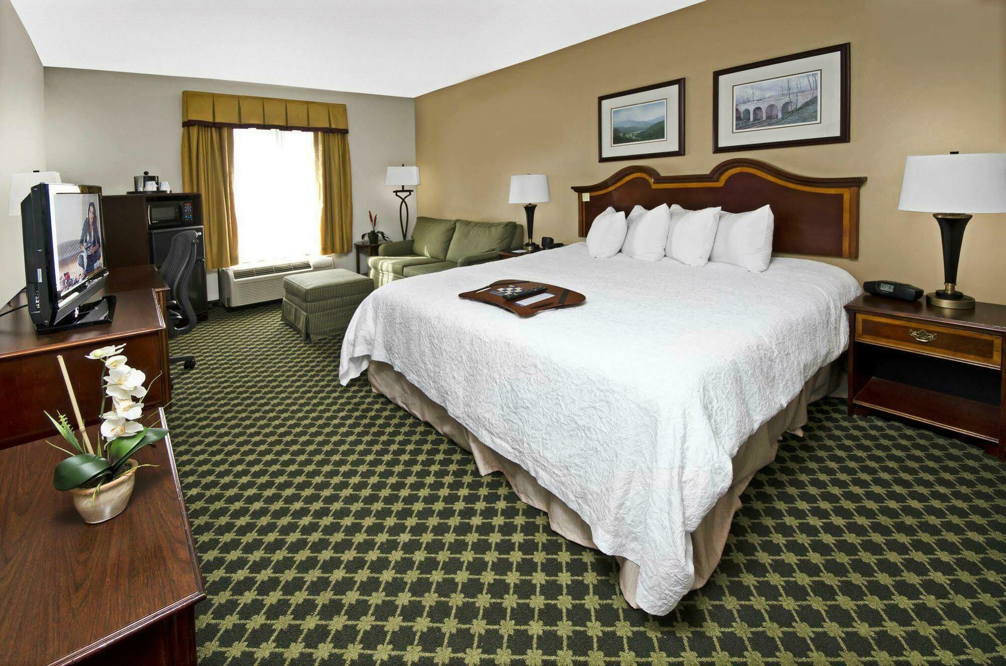 Hampton Christiansburg/blacksburg Hotel Christiansburg