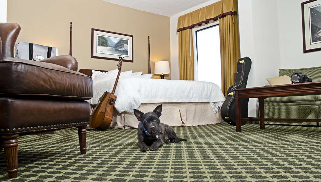 Hotel Hampton Christiansburg/blacksburg 3*